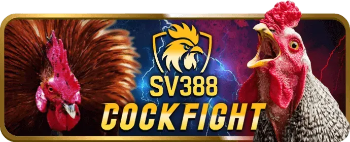 Video slot hi678